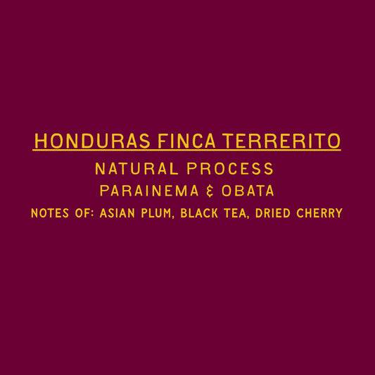 Finca Terrerito - Natural Honduras