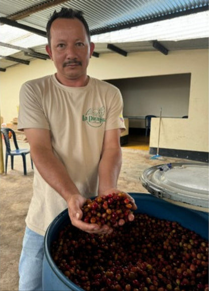 La Piragua - Anaerobic Natural Colombia