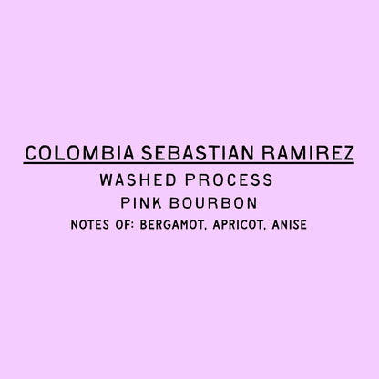 Sebastian Ramirez - Washed Colombia