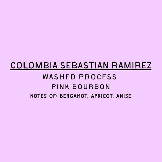 Sebastian Ramirez - Washed Colombia