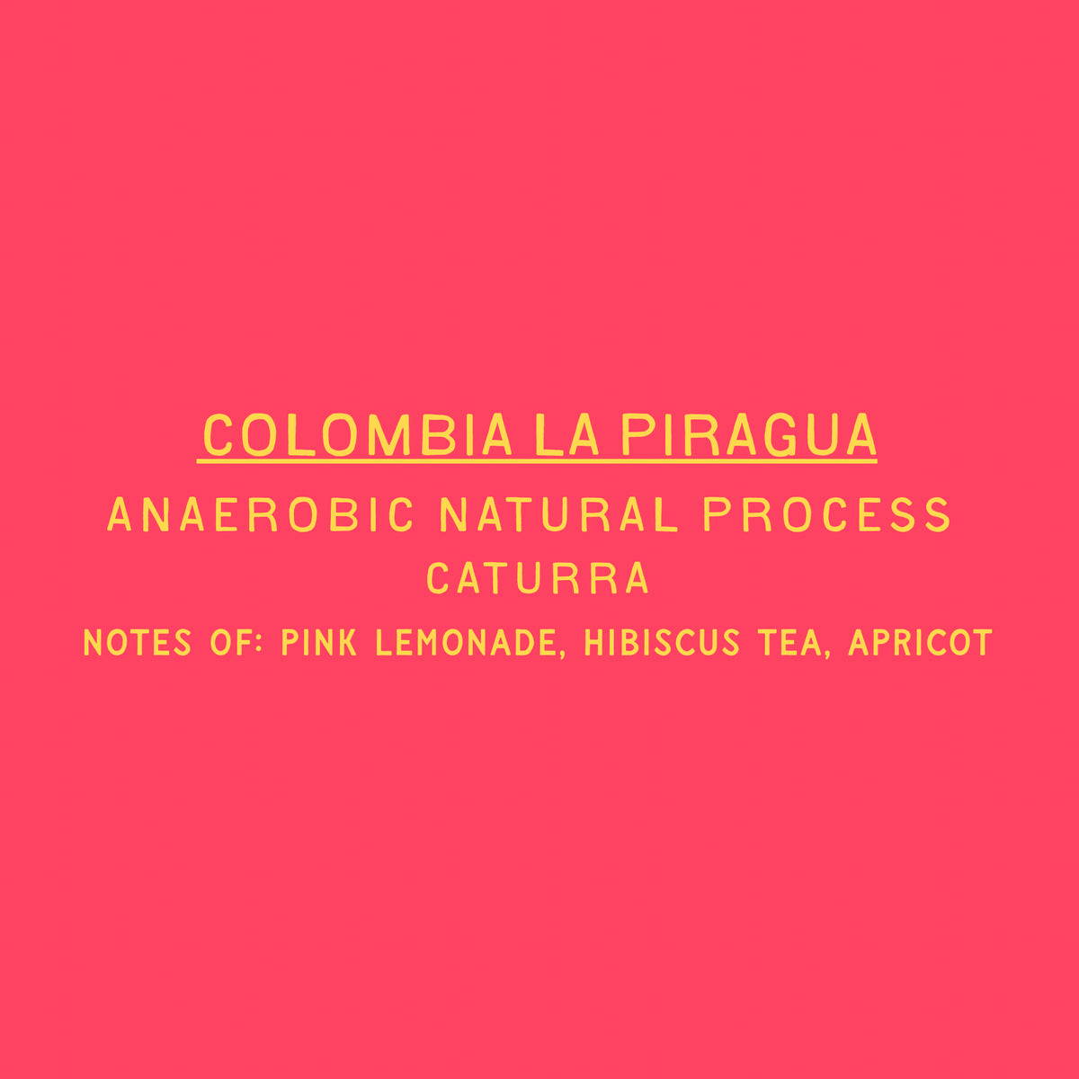La Piragua - Anaerobic Natural Colombia