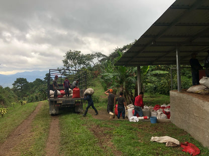 Finca La Unica - Washed Honduras