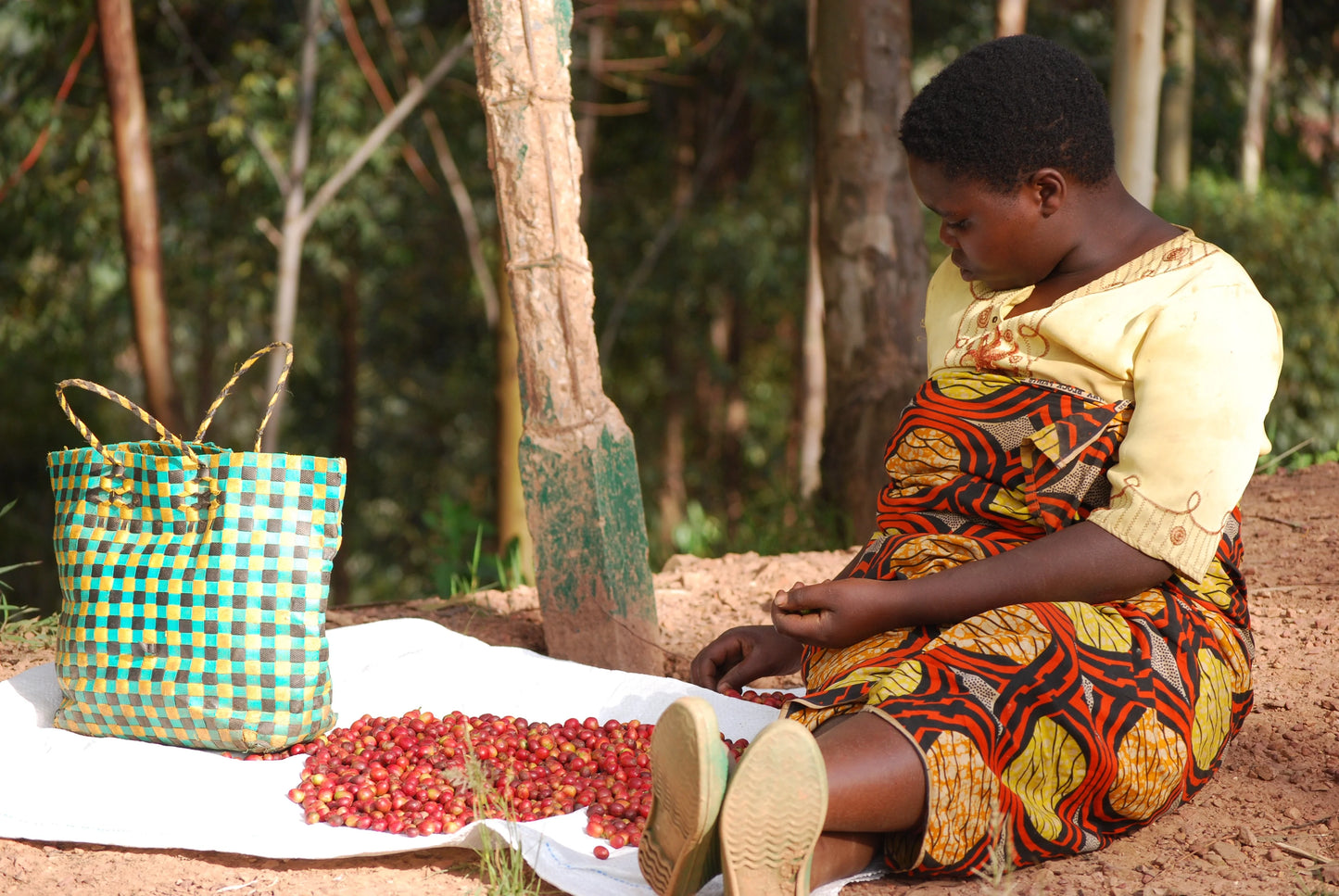 Kinini Village - Washed Rwanda