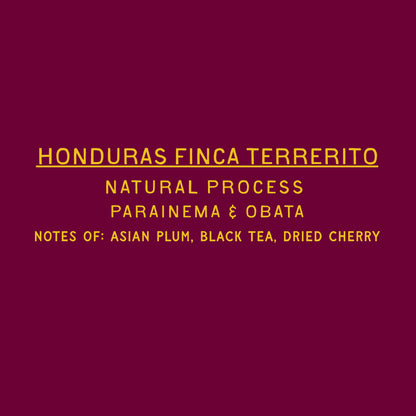 Finca Terrerito - Natural Honduras