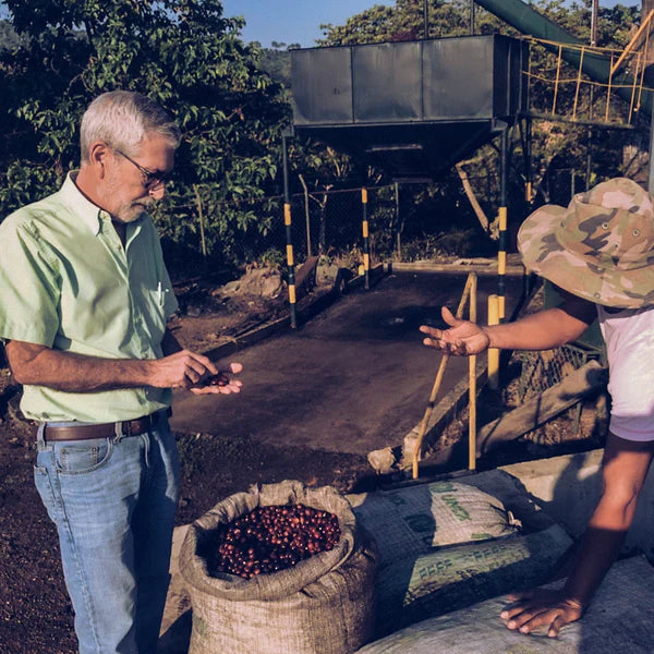 Finca Colomba - Semi Washed El Salvador